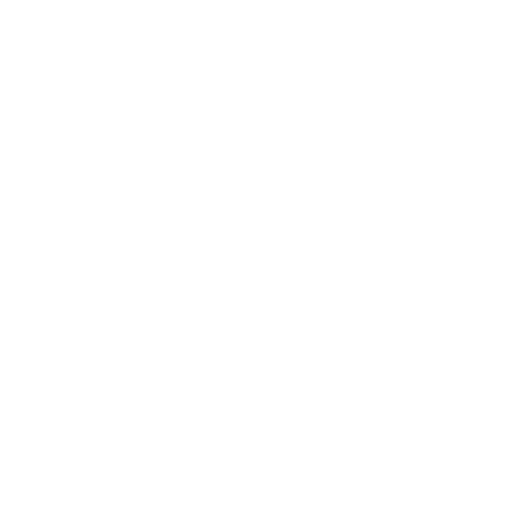 BWL